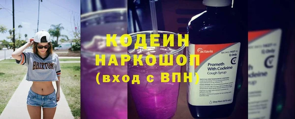 МДПВ Нея