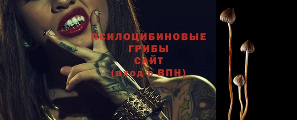 МДПВ Нея