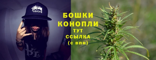 ПСИЛОЦИБИНОВЫЕ ГРИБЫ Усмань