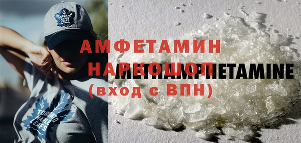 МДПВ Нея