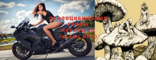 МДПВ Нея