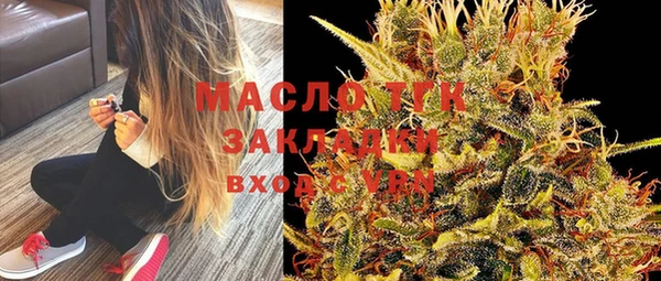 МДПВ Нея