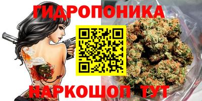 тгк Абакан