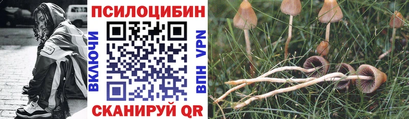 МЕГА   Анжеро-Судженск  Галлюциногенные грибы прущие грибы 
