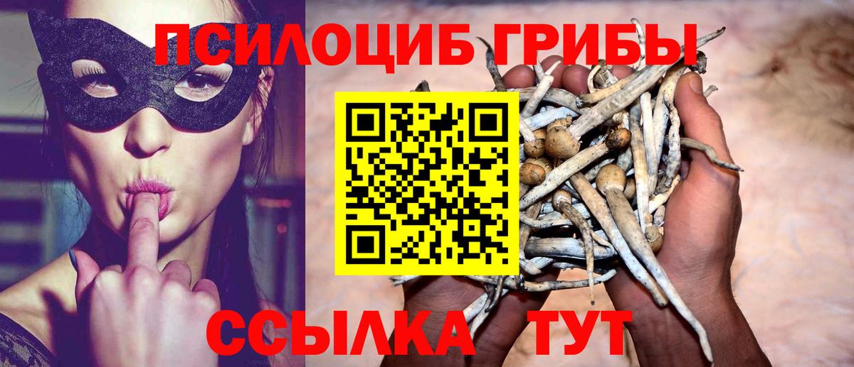 Галлюциногенные грибы Magic Shrooms Анжеро-Судженск