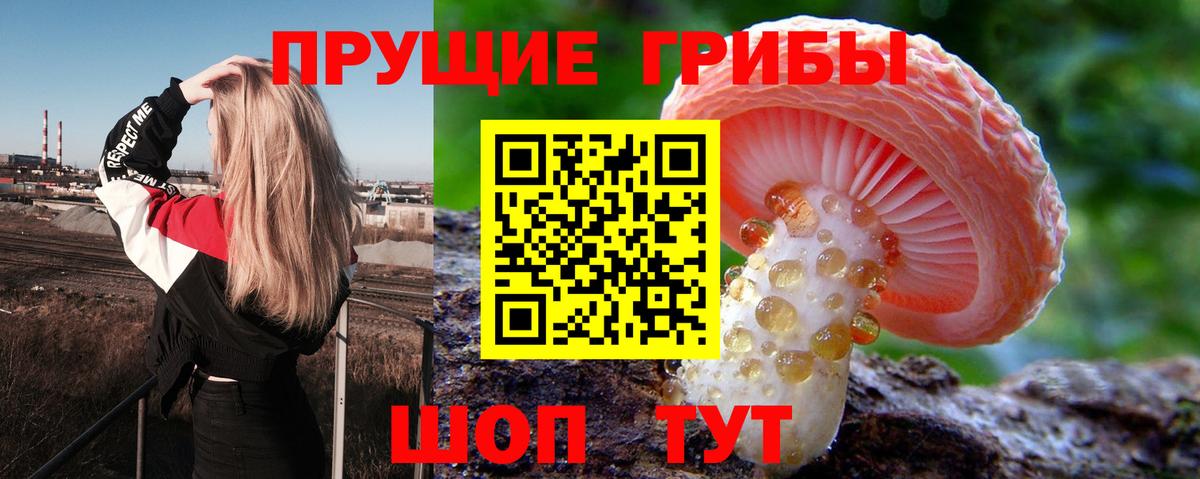 купить закладку  Анжеро-Судженск  Галлюциногенные грибы мицелий  Галлюциногенные грибы мицелий 