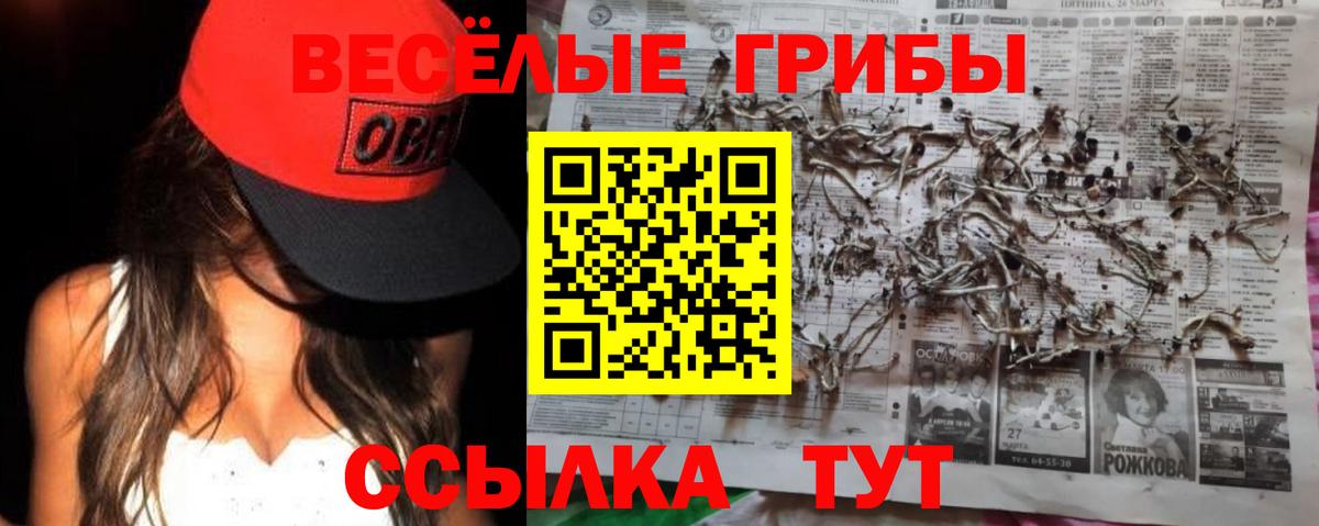 Мефедрон  Кокаин  A PVP СОЛЬ   МЕФ   Анжеро-Судженск  Гашиш  Марихуана  Где купить наркотики?  Вход с VPN 