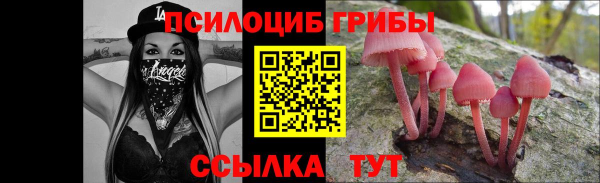 Псилоцибиновые грибы Psilocybe Анжеро-Судженск